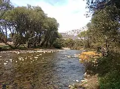 Río Luna en las cercanías de Santa Eulalia de las Manzanas