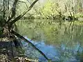 El Río Tea a su paso por Ribadetea