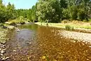 Riberas del río Tirón y afluentes