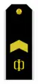 Insignia de rango de Starshiná Jefe de la Armada Rusa.