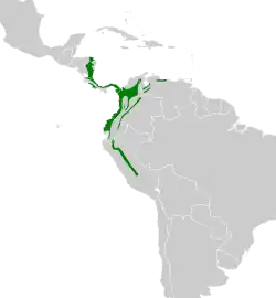 Distribución geográfica del tucán pecho amarillo