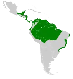 Distribución geográfica del soterillo picudo.