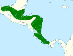 Distribución geográfica de la tangara terciopelo (incluyendo costaricensis)