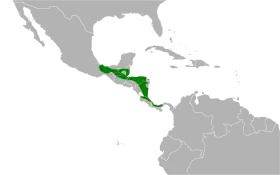 Distribución geográfica de la tangara acollarada.