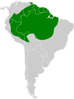 Distribución geográfica del picoplano colirrufo.