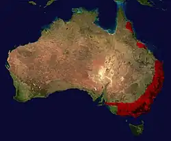 Distribución de Pseudechis porphyriacus (en rojo)