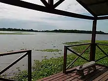 Vista al estero de Laguna Brava, espejo de agua ubicado en la Reserva Natural