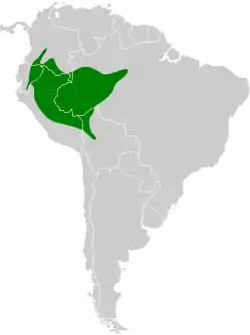 Distribución geográfica del hormiguero canoso.