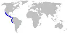 Rango de distribución del cazón picudo del Pacífico.