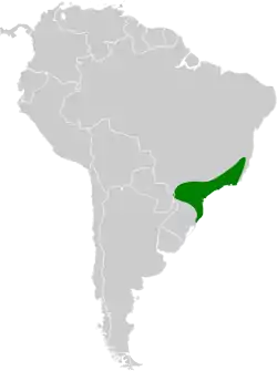 Distribución geográfica del hormiguerito gorgipinto.