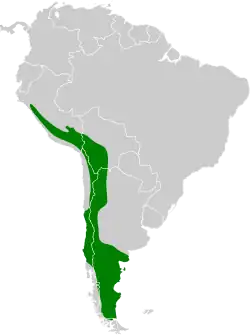 Distribución geográfica del yal pechinegro.