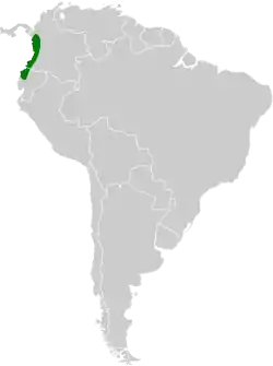 Distribución geográfica del picoplano del Pacífico.