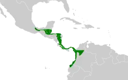 Distribución geográfica de la plañidera rojiza.