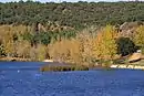 Riberas del río Duero y afluentes