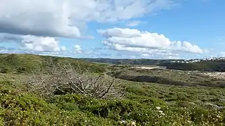 Vista desde la playa de Amoreira en dirección Este.