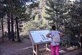 Panel informativo realizado por Juan José Barragán en el punto de interpretación del paraje Los Amanaderos de Riodeva (Teruel), 2017.