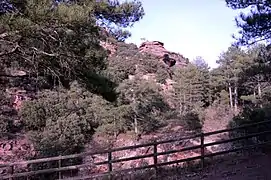 Paisaje de montaña en el paraje Los Amanaderos de Riodeva (Teruel), 2017.