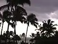 Las luau hawaianas se suelen celebrar por la noche cerca de una playa o al aire libre
