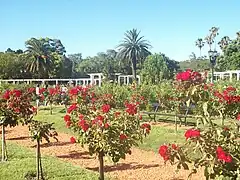 El Rosedal en Buenos Aires.