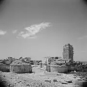 Qasr al-Hayr al-Gharbi, Siria (1950)