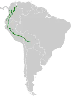 Distribución geográfica del gallito de las rocas peruano.