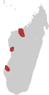 Distribución geográfica de la polluela negra malgache.