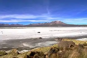 Salar de Surire y Cordillera de los Andes.
