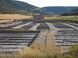 Salinas de Saelices