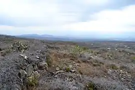 LLano de Alfajayuan al oeste del estado.