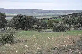 Panorama de Salobral, Muñopepe y La Serrada desde la sierra de Yemas en el Valle de Amblés