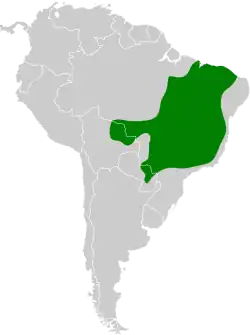 Distribución geográfica del pepitero de corbata.