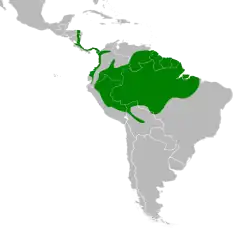 Distribución geográfica del pepitero pizarroso.