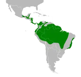 Distribución geográfica del pepitero gorjicanelo.