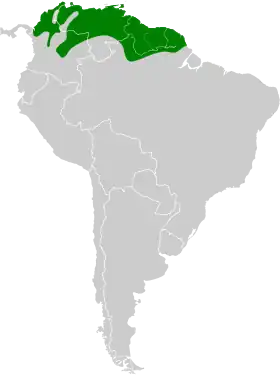 Distribución geográfica del pepitero oliváceo.