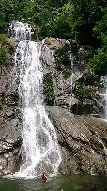 Cascada localizada sobre la carretera que conduce hacia la cabecera municipal de San Luis – Antioquia, a solo 5 minutos de la autopista Medellín-Bogotá y 5 km de la cabecera municipal, sobre la quebrada El Vergel en la vereda La Cuba.