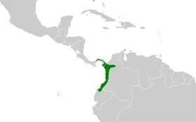 Distribución geográfica del sapayoa.