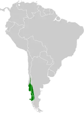 Distribución geográfica del chucao.