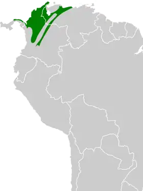 Distribución geográfica del llorón alirrufo.