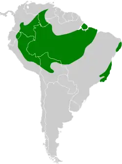 Distribución geográfica del llorón turdino.