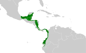 Distribución geográfica del llorón norteño.