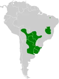 Distribución geográfica del pijuí chotoy.
