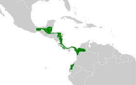 Distribución geográfica del tirahojas guatemalteco.