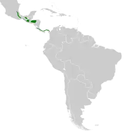Distribución geográfica del tirahojas mexicano.