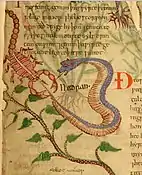 «Lucha de escorpiones y serpientes», Anglo-Saxon Herbal, c. 1050