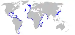 Rango de distribución de Scymnodon obscurus.