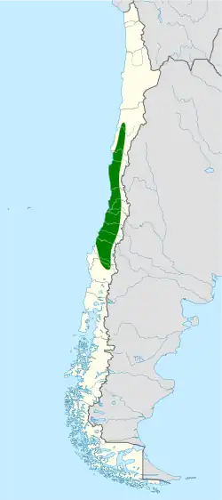 Distribución geográfica del churrín del norte