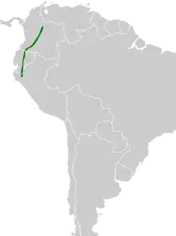 Distribución geográfica del churrín colilargo.