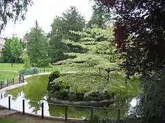 Estanque en el jardín botánico.