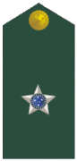 Insignia de Teniente del Ejército Brasileño.