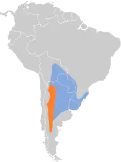 Distribución geográfica del piojito trinador.
